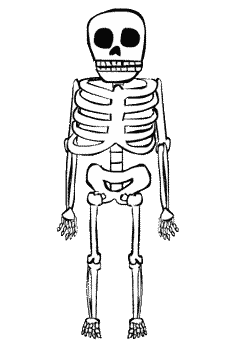Skeleton Gif - IceGif