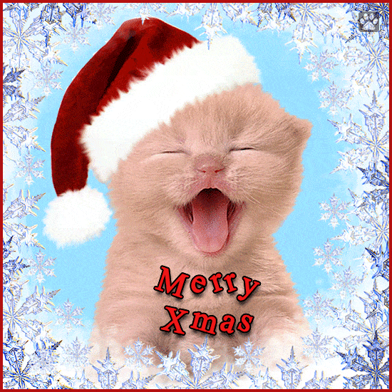 funny christmas gif cat