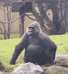 Gorilla Tag Wallpaper Explore more Animal, Another Axiom