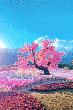 Cherry Blossoms Sakura Pink Flowers Aesthetic GIF, png gif aesthetic