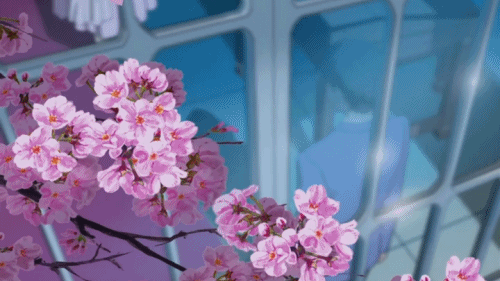 Pink Sakura Background, pink , sakura , background , cherry , blossom , bg  , animated , anime , hannahjuly , hannahjulyslytherin - Free animated GIF -  PicMix