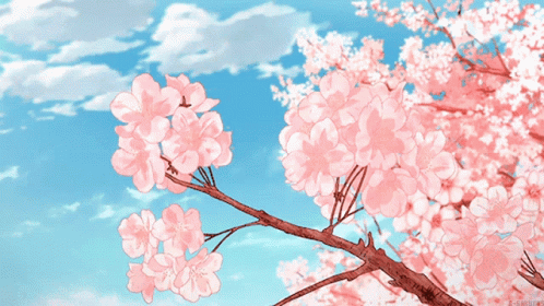 Cherry Blossom GIF  Cherry blossom, Blossom, Imagine