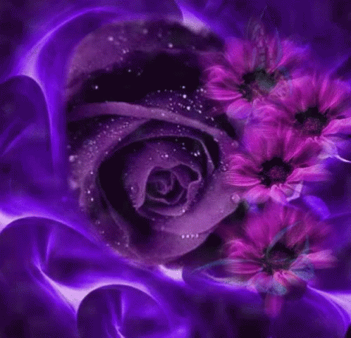 Rose Flower GIF - Roses Flowers Animated GIF Free Download in 2023