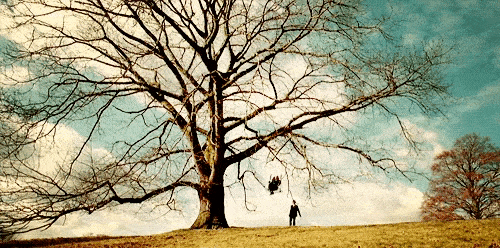 Bodied Gif,Branches Gif,Elongated Stem Gif,Fruit Tree Gif,Leafy Gif,Old Tree Gif,Perennial Gif,Plant Gif,Wooded Gif