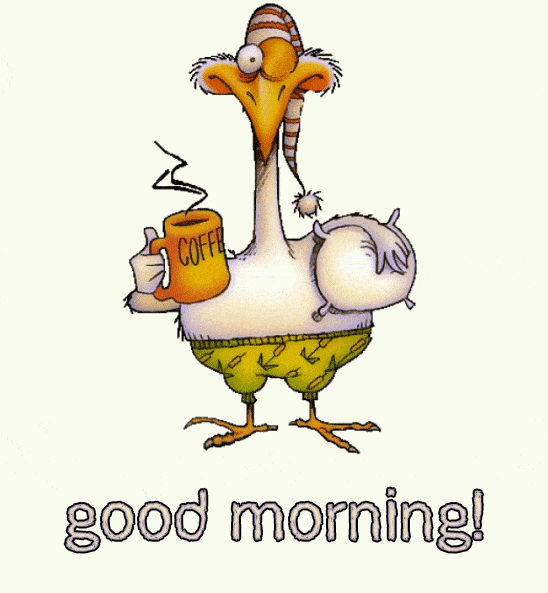 Good Morning Greetings GIF - Good Morning Greetings Bird
