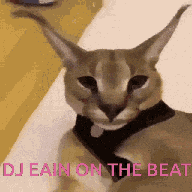 Big Floppa Cat Meme | Sticker