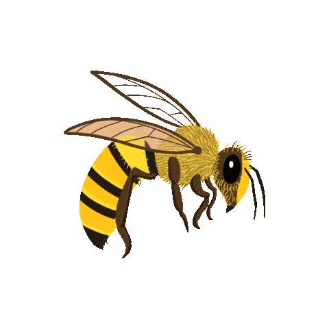 Bee Gif,Honey Gif,Animal Gif,Apoidea Gif,Pollination Gif,Small Gif,Yellow Gif