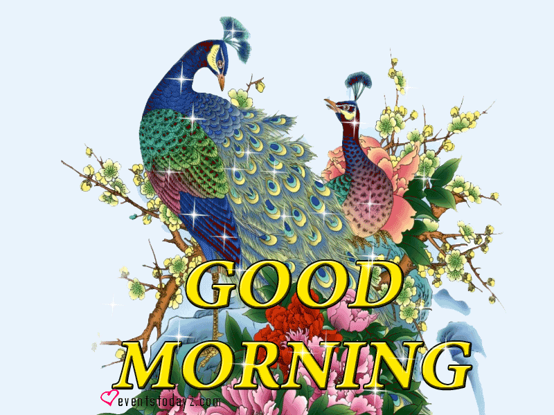 Good Morning Flowers Gif Good Morning Gif Morning Ima - vrogue.co
