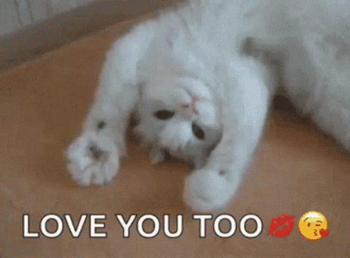 Greeting Gif,Happy Gif,Day Gif,Good Wishes Gif,Have A Great Day Gif,Movement Gif