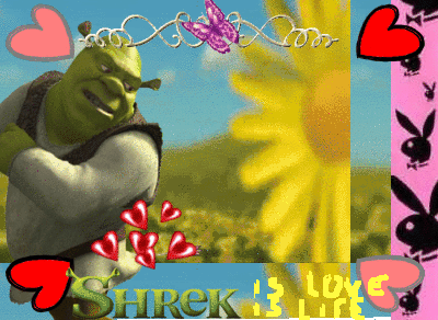 Shrek Gif - IceGif