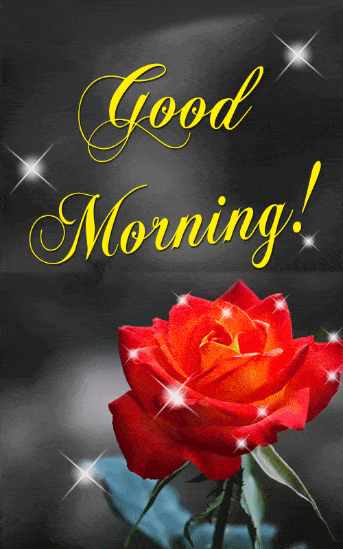Good Morning Gif Images for Whatsapp, Facebook: HD Pictures Free Download