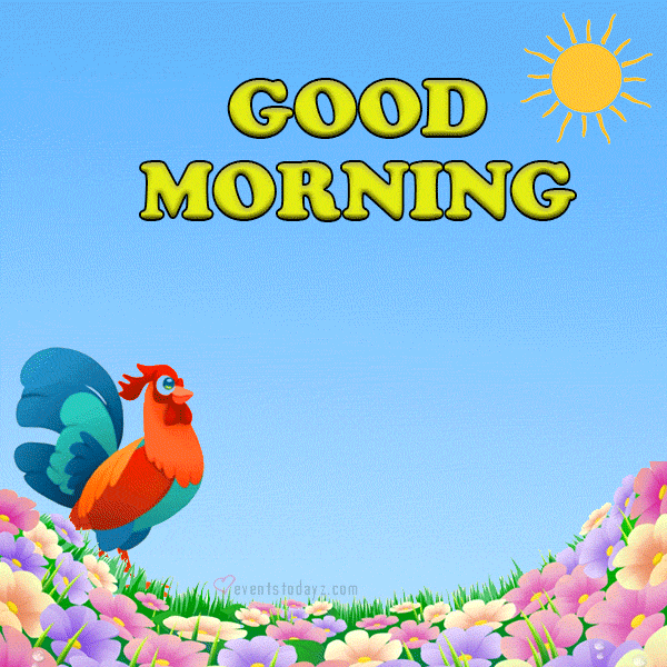 Good Morning Gif Images for Whatsapp, Facebook: HD Pictures Free Download