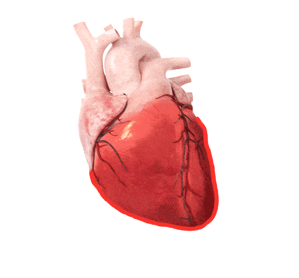 Transparent Heart GIFs