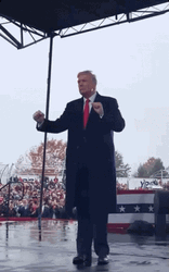 Donald Trump Gif