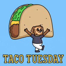 Taco Tuesday Gif