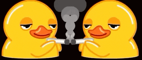 Smoking Duck Gif