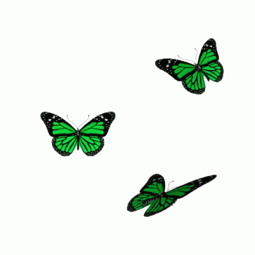 butterfly-icegif-1.gif