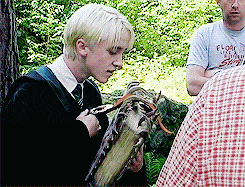 Dumbledore Gif,Albus Dumbledore Gif,Harry Potter Gif,Lord Voldemort Gif,Potter Series Gif,Slytherin Gif