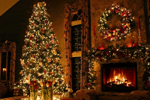 Christmas Tree Living Room Fire Gif