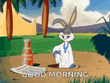 Good Morning Gif,Happy Gif,Rabbit Gif,Animated Gif,Carrot Gif,Cartoon Gif,Cute Gif,Funny Gif