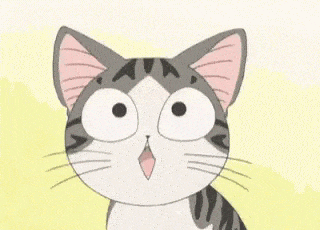 25 Funny & Cute Cat GIFs