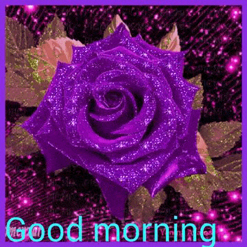 Good Morning Gif,Rose Gif,Beautiful Gif,Colored Gif,Flower Gif,Glitter Gif,Happy Saturday Gif,Heart Gif,Love Gif