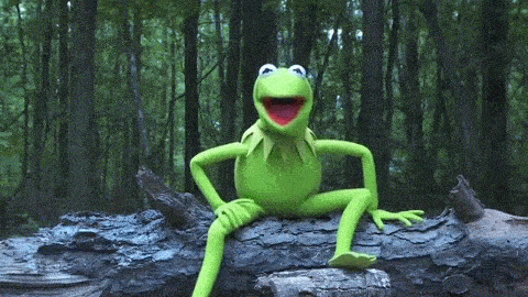 Character Gif,Kermit The Frog Gif,Cartoon Gif,Funny Gif,Introduced Gif,Muppet Gif