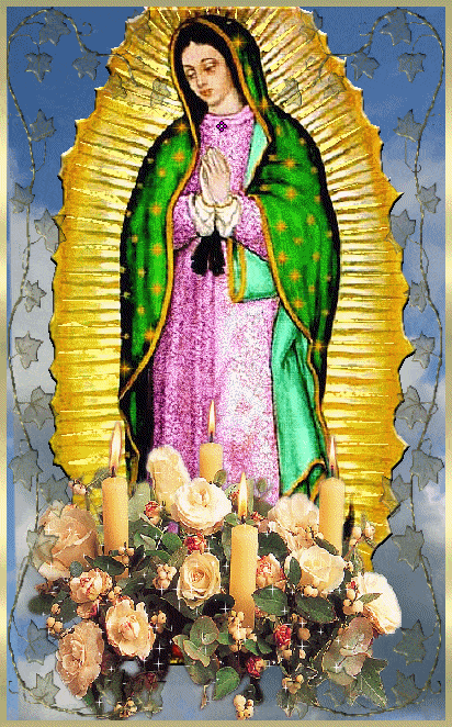 Basilica Gif,Blessed Virgin Gif,Catholic Gif,Guadalupe Gif,Mary Gif,Mexico City Gif,Our Lady Gif,Virgin Gif