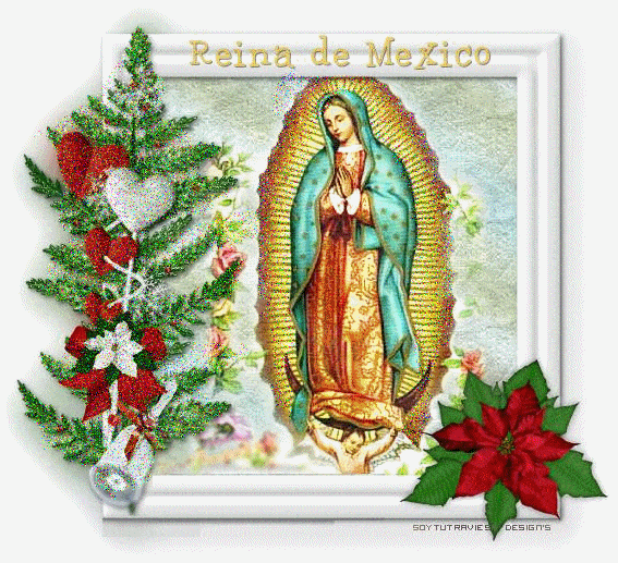 Basilica Gif,Blessed Virgin Gif,Catholic Gif,Guadalupe Gif,Mary Gif,Mexico City Gif,Our Lady Gif,Virgin Gif